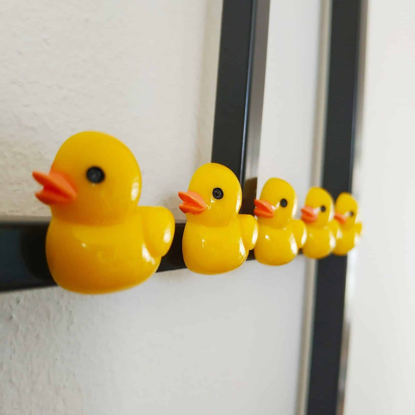 Badeendjes als magneetjes voor op je planbord of magneetbord. Snel in huis!