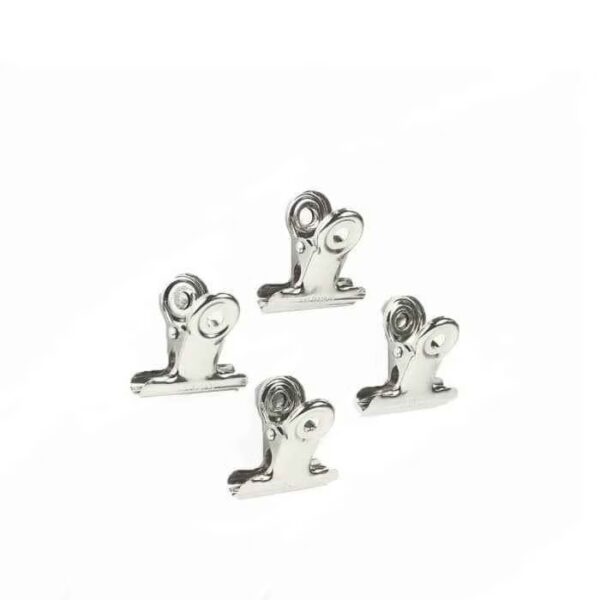 Vier clipjes met een magneetje