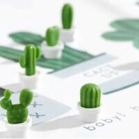 Koelkastmagneetjes in een wit potje en zes verschillende cactussen