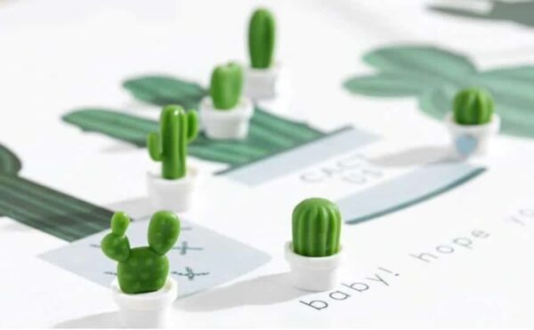 Koelkastmagneetjes in een wit potje en zes verschillende cactussen