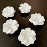 Vijf witte bloemetjes met een sterke magneet op een zwart magneetbord