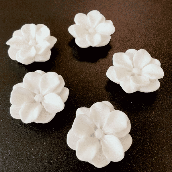 Vijf witte bloemetjes met een sterke magneet op een zwart magneetbord