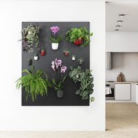 Prachtig ingericht zwart groot magneetbord dat is ingericht met veel magnetische plantenpotten en magnetische bakjes met allerlei kamerplanten en bloeiende planten