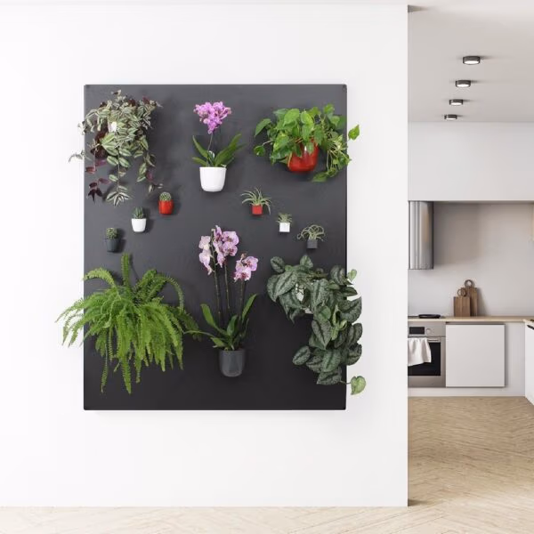 Prachtig ingericht zwart groot magneetbord dat is ingericht met veel magnetische plantenpotten en magnetische bakjes met allerlei kamerplanten en bloeiende planten
