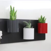 Drie cilindervormige magnetische bakjes met cactusplantjes op een langwerpig zwart magneetbord