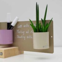 Magnetische bakjes 6cm voor op magneetbord