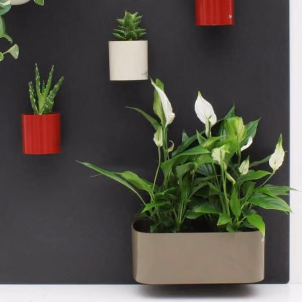 Magneetbakje 22 cm van KalaMitica voor op magneetbord met sterke magneet en hoge draagkracht