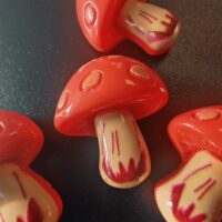 Koelkastmagneten in de vorm van een paddestoel