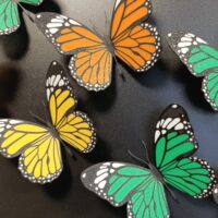 Met de 3D printer gemaakte koelkastmagneten in vlindervorm en in drie kleuren geel, groen en oranje op een zwart magneetbord