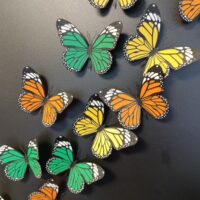 Met de 3D printer gemaakte koelkastmagneten in vlindervorm en in drie kleuren geel, groen en oranje op een zwart magneetbord